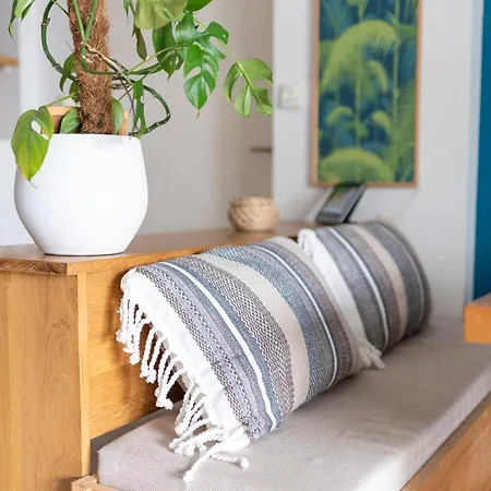 Le Surf : Triplex Appartement Toulouse
